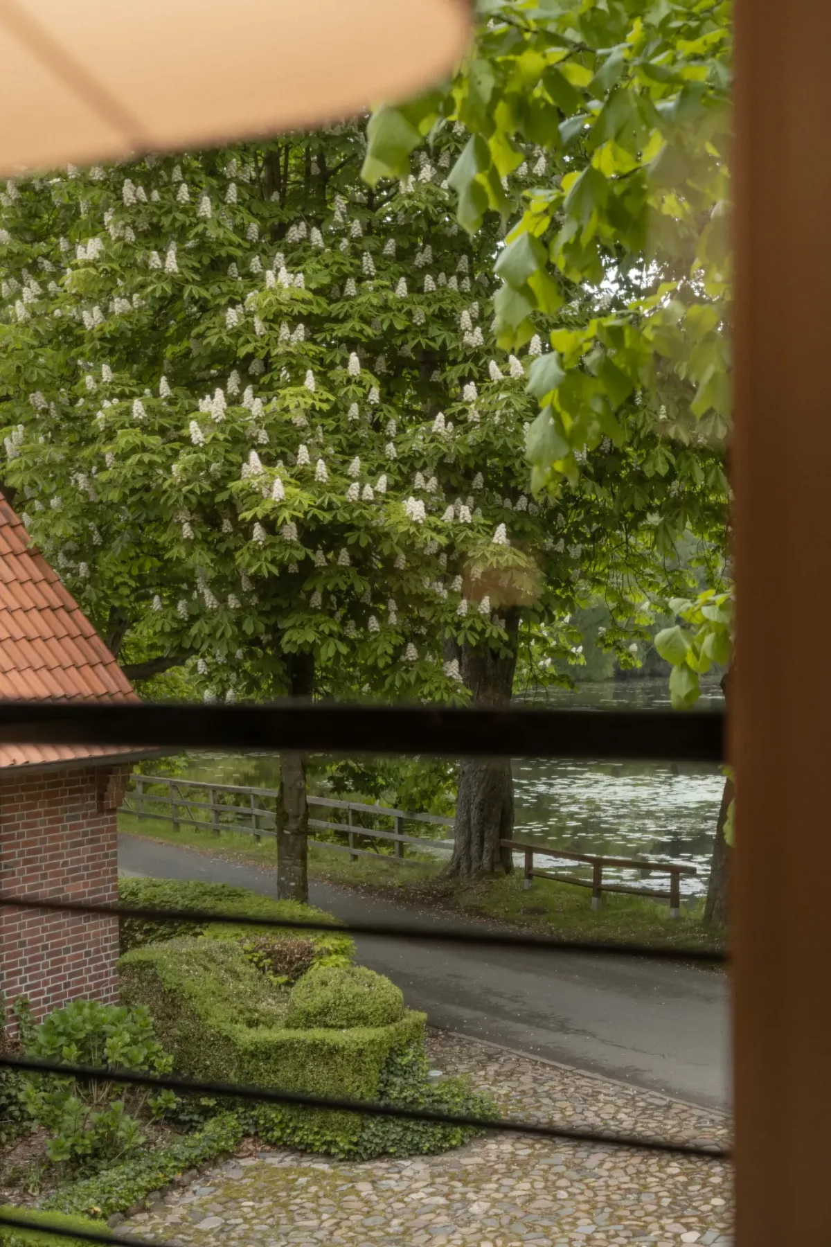 Blick durch ein Fenster auf &uuml;ppig gr&uuml;ne Vegetation, einen gepflasterten Weg und eine Wasserfl&auml;che im Hintergrund mit Ziegeldach eines Geb&auml;udes.